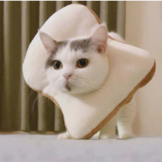 고양이 과일 극세사 넥카라